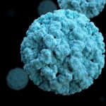 Norovirusul Ce trebuie sa stii despre acest virus contagios