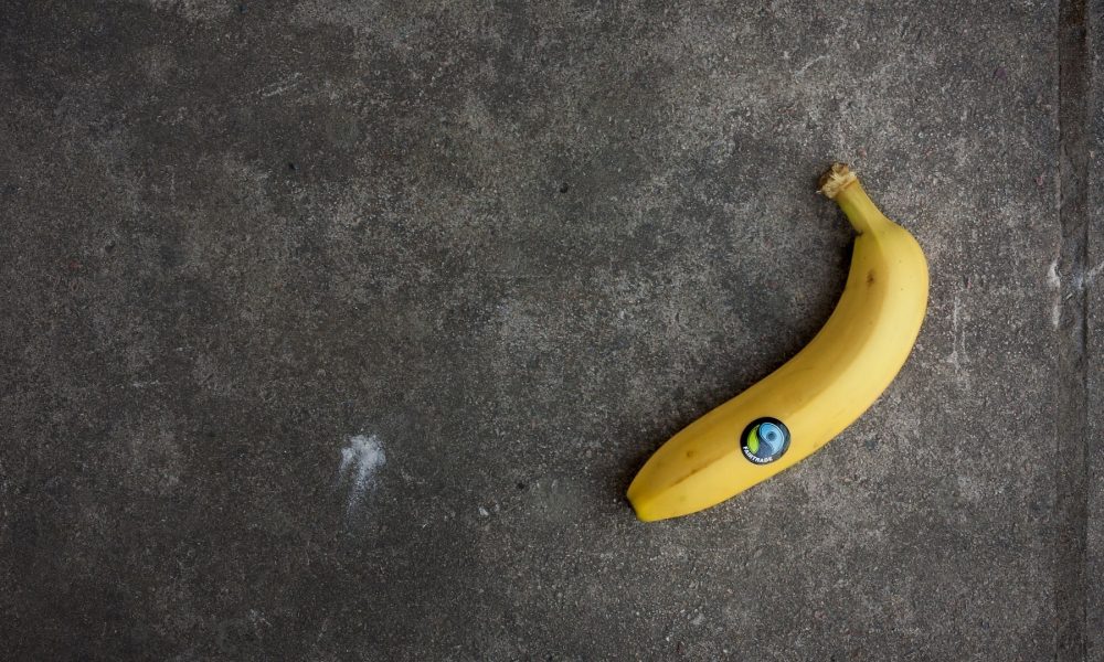 Ce înseamnă marca Fairtrade. Imagine a unei banane galbene pe un fundal gri si simbolul Fairtrade