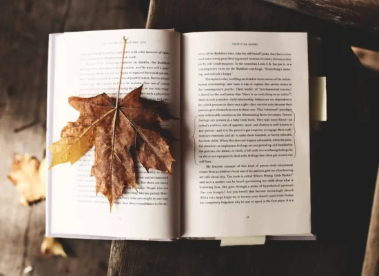 Carte deschisa pe o masa de lemn, cu o frunza mare, maro de toamna asezata pe paginile ei. Tonuri calde si rustice evoca un sentiment de nostalgie si liniste.